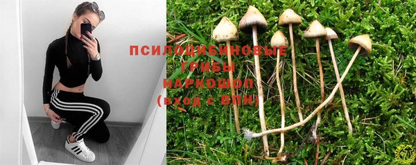тгк Иннополис