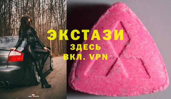apvp Каменка