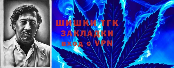 apvp Каменка