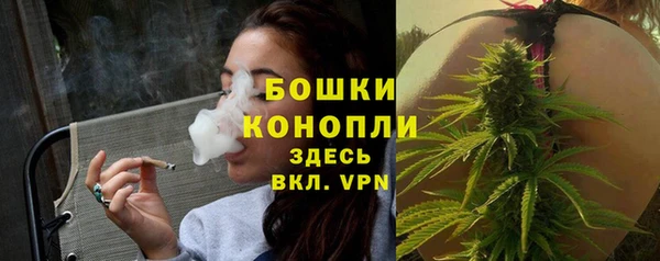 apvp Каменка